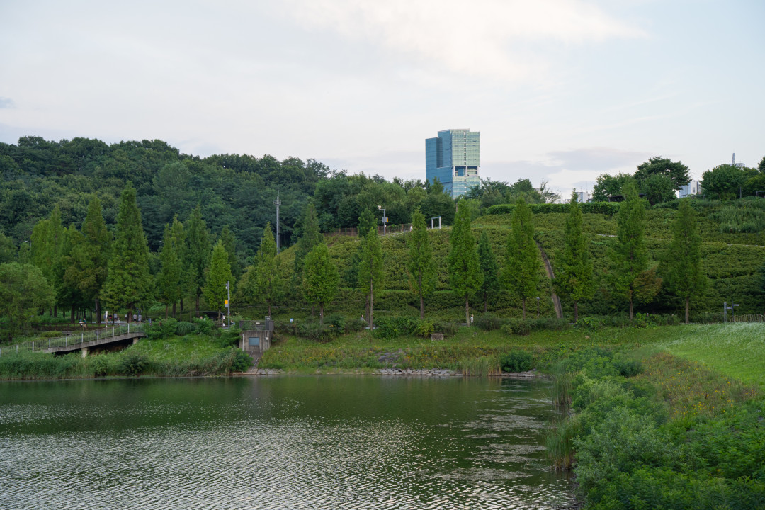 신대호수 하늘 전망대