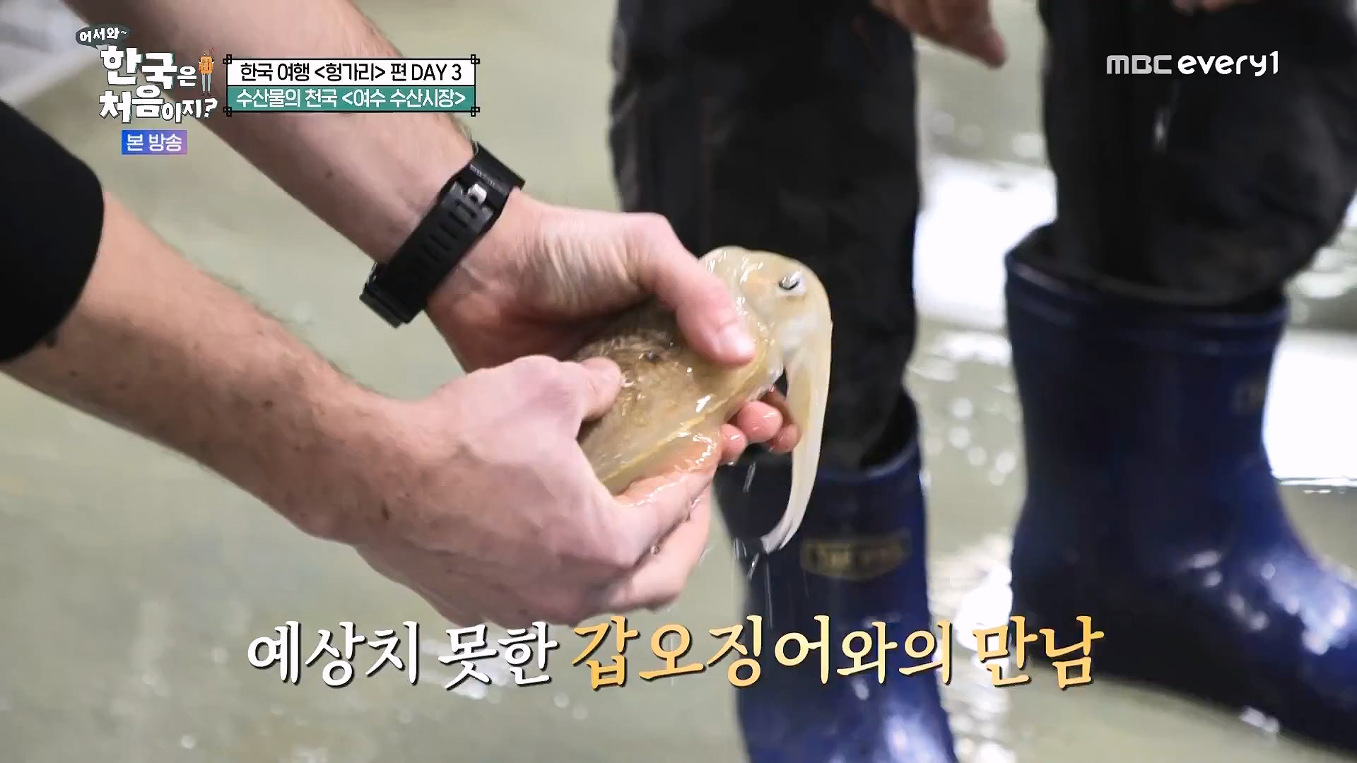 어서와 한국은 처음이지.E318.240613p.WANNA.mp4_20240615_163924.014.jpg