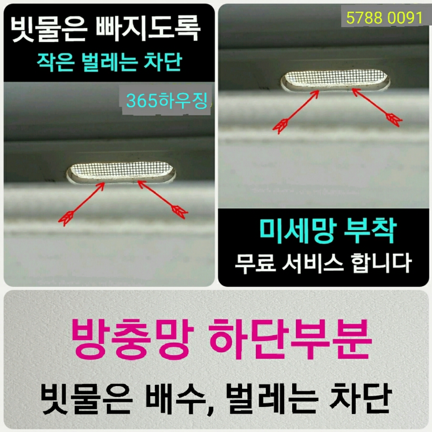 대구 방충제 3
