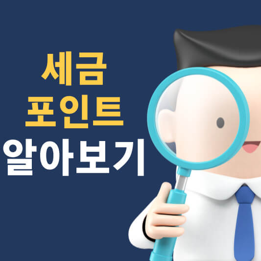 세금 포인트 알아보기