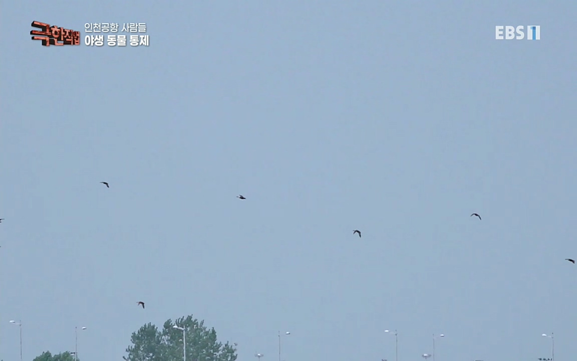 TV - 교육의 중심 EBS인천공항 사람들.mp4_20220828_173059.370.jpg