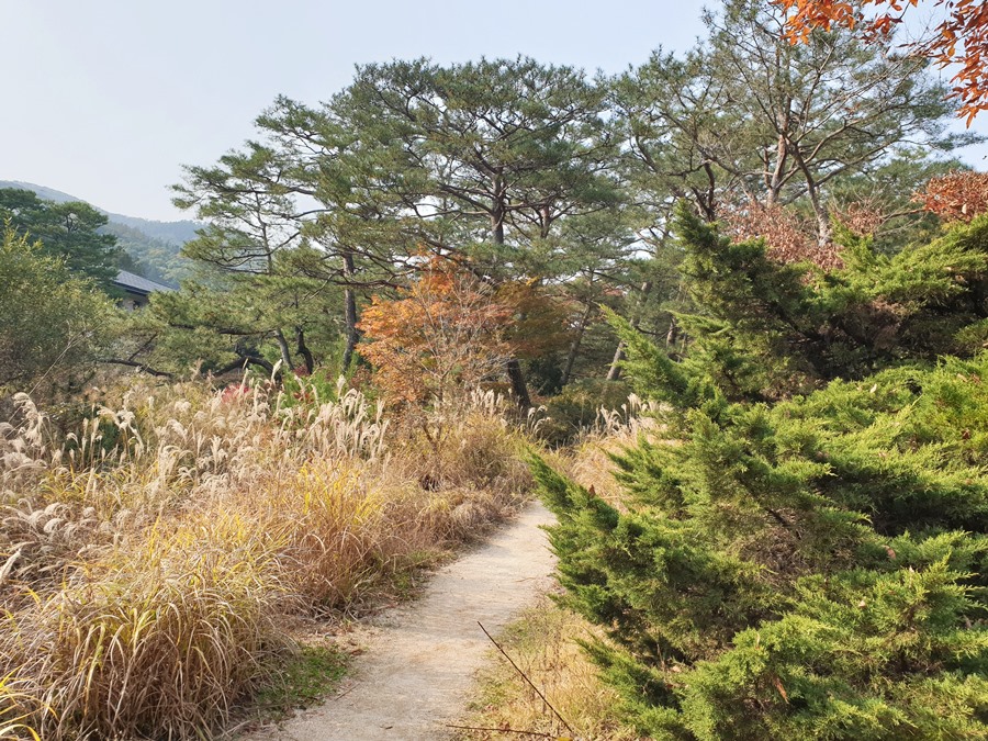 국립수목원-난대온실-주변숲길