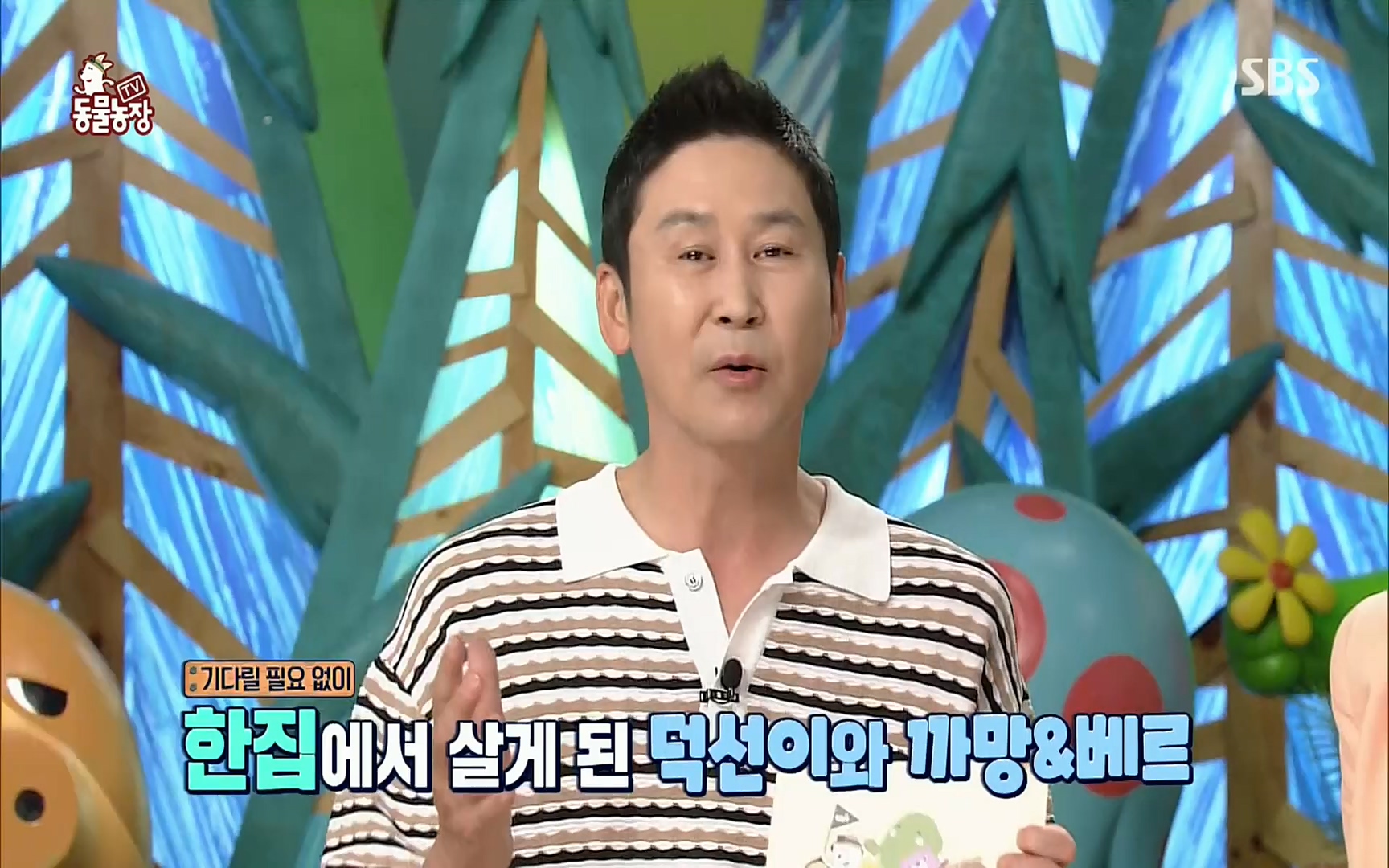 TV 동물농장.E1073.220612p.H264-F1RST.mp4_20220612_181408.027.jpg