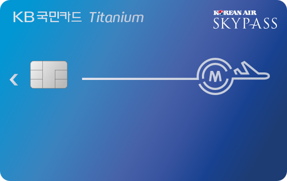 KB국민 스카이패스 티타늄카드