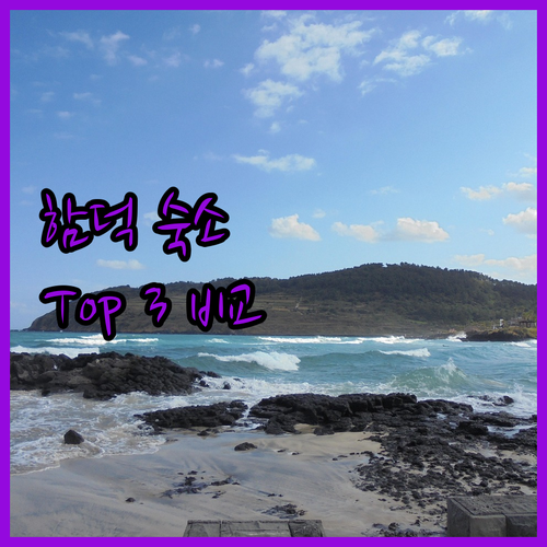 함덕 해변 Best 호텔 Top 3 