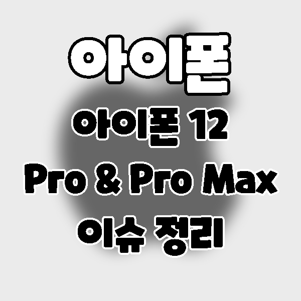 아이폰12 Pro & Pro Max 이슈정리
