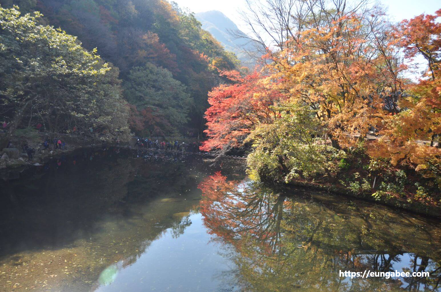 내장산 단풍