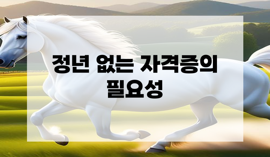 정년 없는 자격증의 필요성