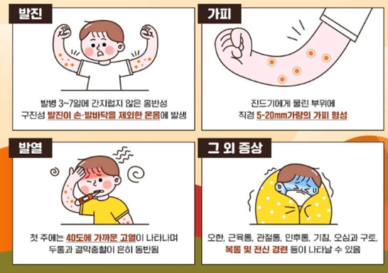 쯔쯔가무시증 증상을 나타낸 그림
