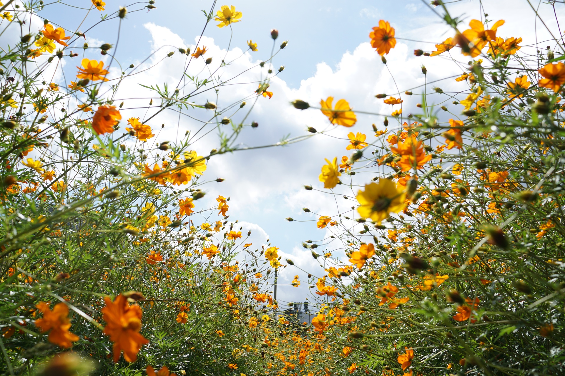 송현공원 이미지
