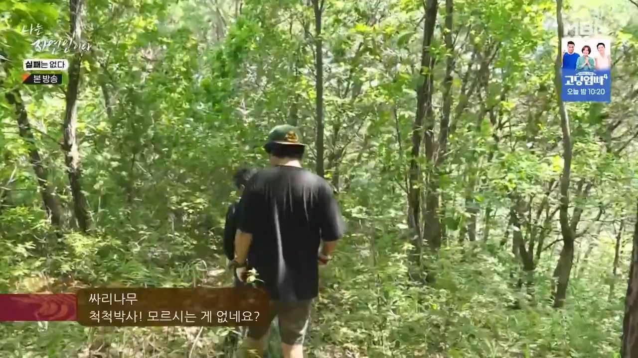나는 자연인이다.E567.230817p-NEXT.mp4_20230817_202916.256.jpg