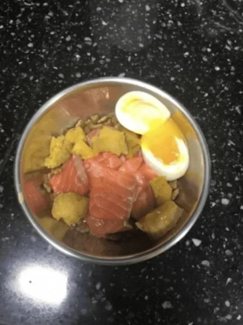 어머니가 싸다주신 음식을 개밥으로 준 와이프ㄷㄷㄷ 3