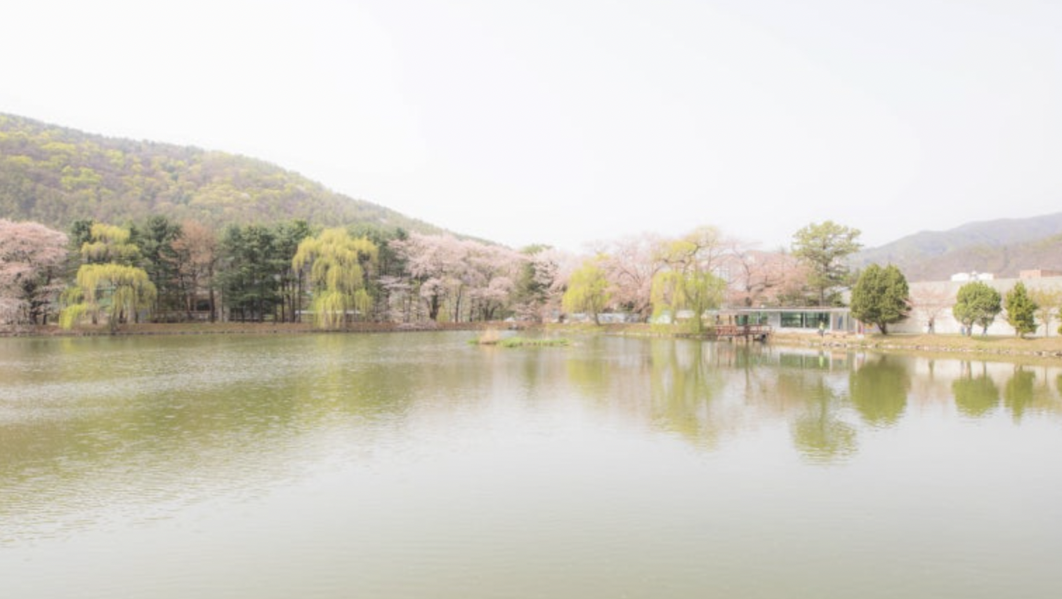 비밀정원