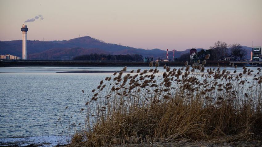 호수 앞에 갈대숲, 호수 너머 소각로에 피어오르는 회색 연기, 뒤로 야산, 하얀 하늘,