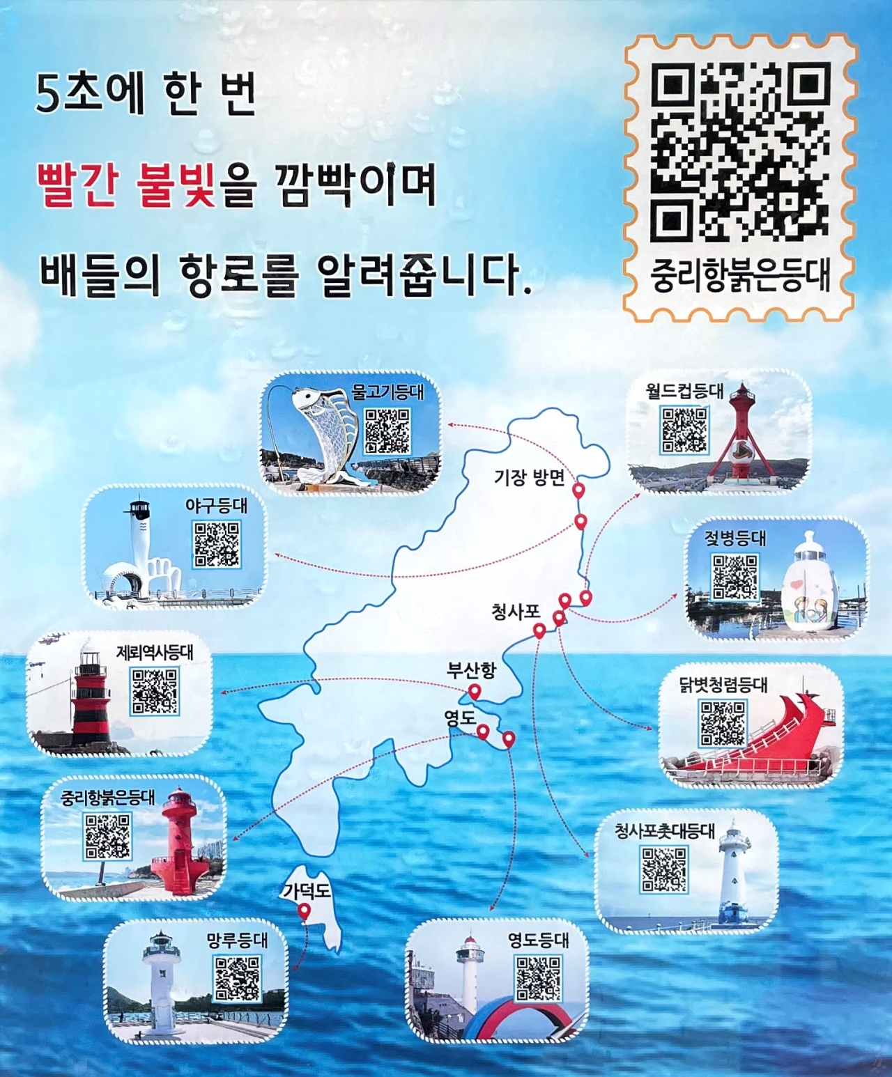 부산갈매기 사진 2