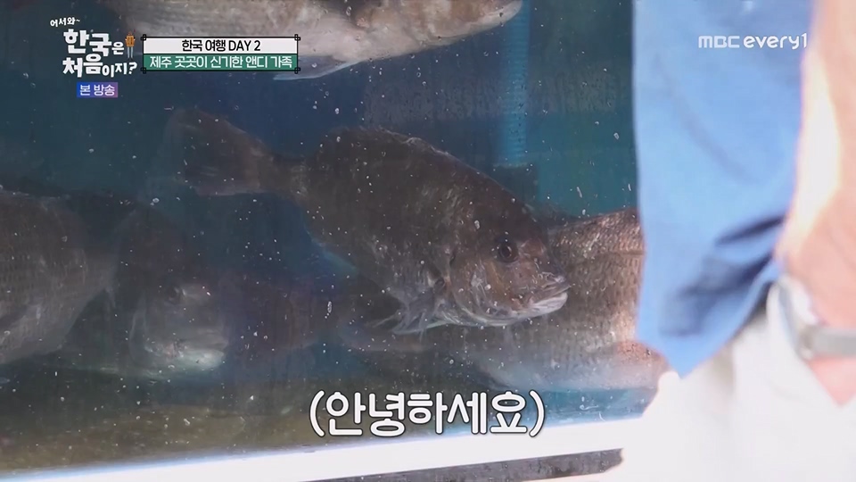 어서와 한국은 처음이지.E269.230629p.WANNA.mp4_20230701_004539.165.jpg