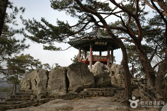 낙화암 전경 이미지