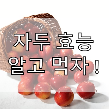  자두 효능 알고 맛있게 먹자 !