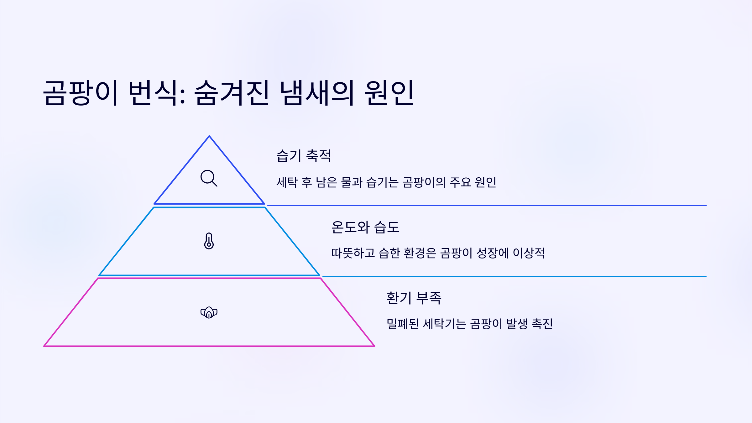 곰팡이