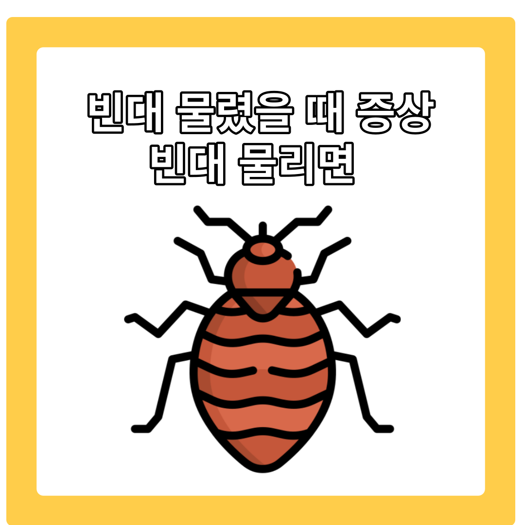  빈대 물리면 증상 및 빈대 물렸을 때 대처법 알아보기
