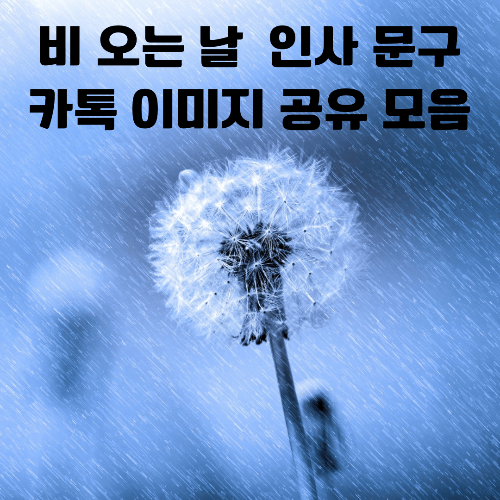  비 오는 날 안부인사,  카톡 이미지 공유, 비오는날 인사말 문구 모음