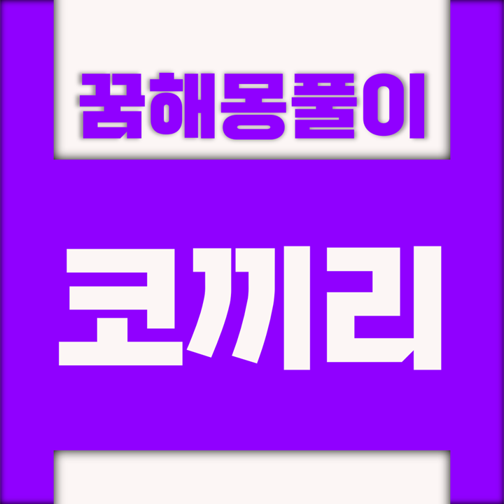  [꿈해몽풀이] 코끼리 꿈해몽 모음