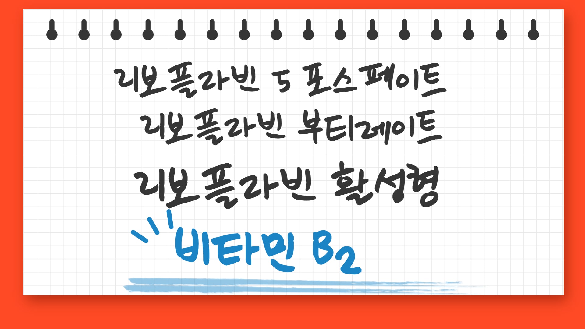  활성형 비타민 B2  리보플라빈 부티레이트와 리보플라빈 5 포스페이트