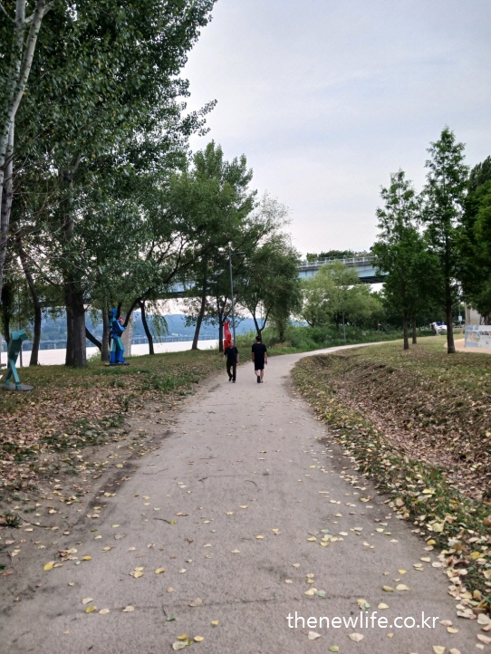 Two people walking quietly along a tree-lined path scattered with autumn leaves near the river — symbolizing sustainable and peaceful health through walking.-가을 낙엽이 흩어진 강변 산책로에서 나란히 걷는 두 사람 – 걷기 운동의 지속성과 평온함을 상징하는 장면.