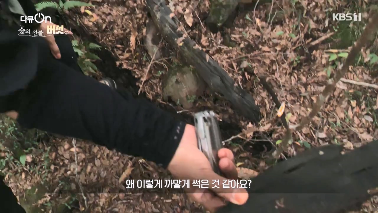 다큐 온.E227.231120p-NEXT.mp4_20231121_203657.554.jpg