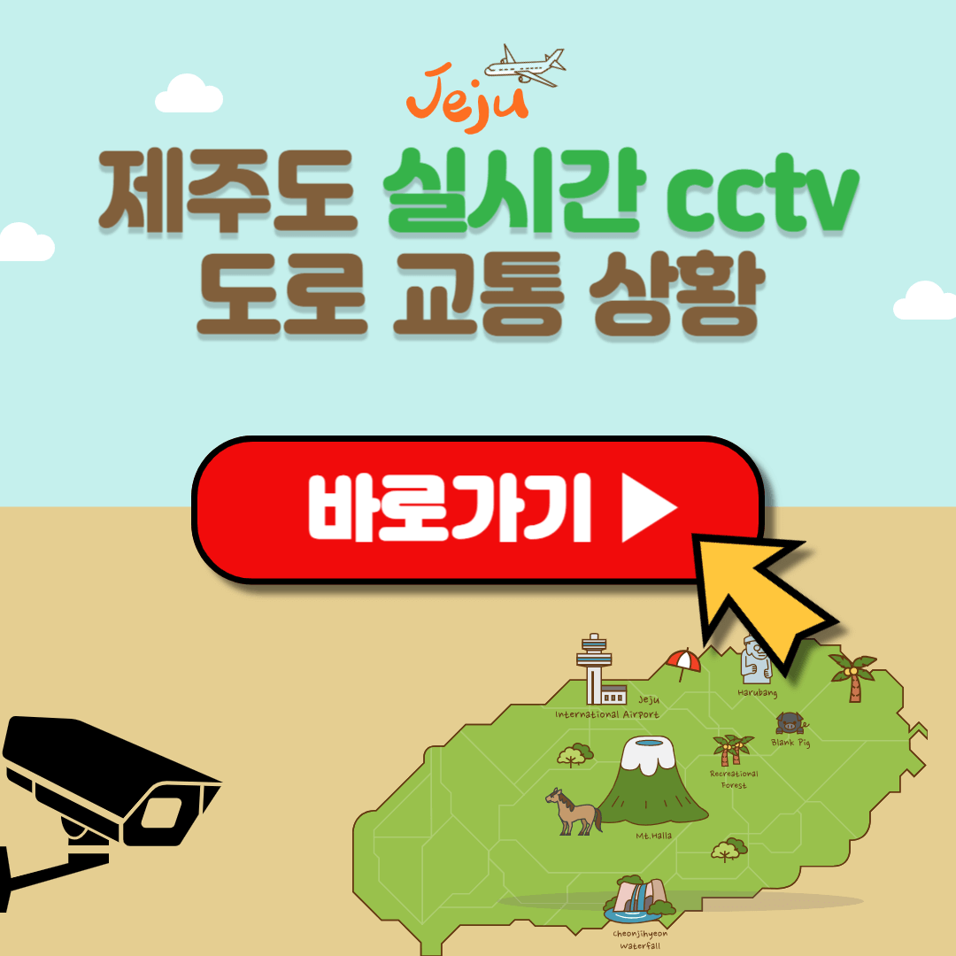 제주도 날씨 실시간 cctv 도로상황 보기