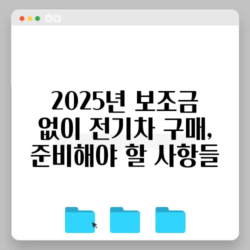 2025년 보조금 없이 전기차 구매, 준비해야 할 사항들