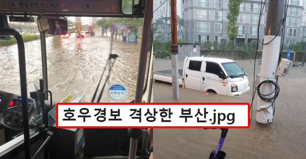  호우경보 발령됐던 부산 침수 상황..