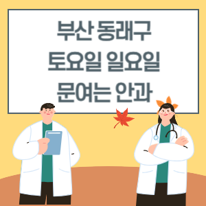 부산 동래구 토요일 일요일 안과 진료 병원 리스트