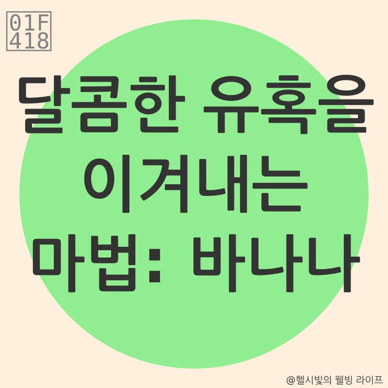 야식 대체_1