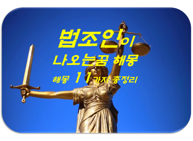 판사꿈 11가지 총정리