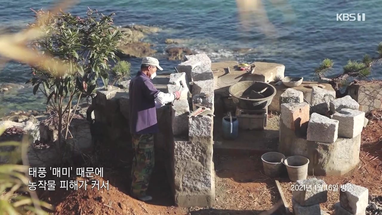 동네 한 바퀴.E273.240512p-NEXT.mp4_20240512_163512.697.jpg