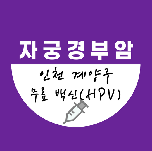 인천계양구자궁경부암백시무료접종