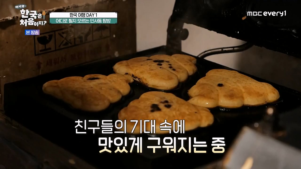 어서와 한국은 처음이지 시즌2.E256.230331p-NEXT.mp4_20230331_203434.085.jpg