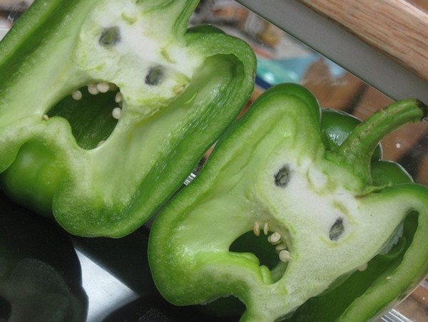 img.jpg