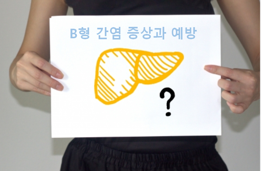 B형간염 증상과 예방법