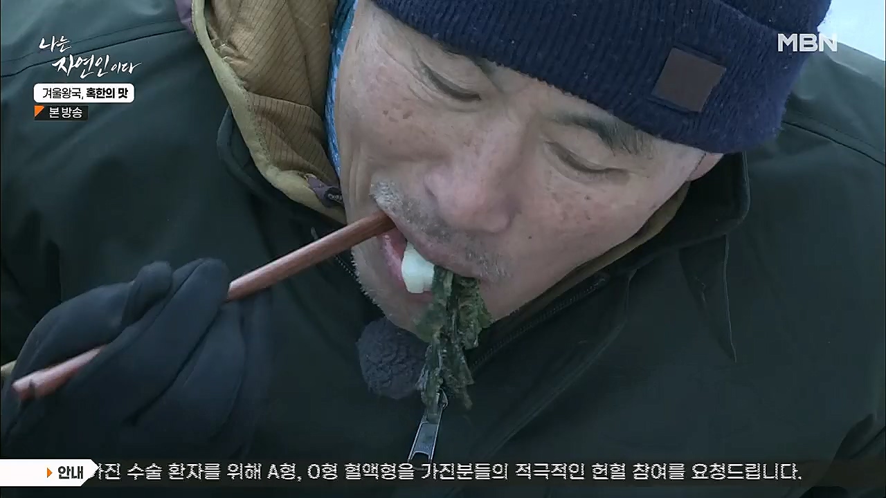 나는 자연인이다.E536.230112p.H264-F1RST.mp4_20230112_193521.697.jpg