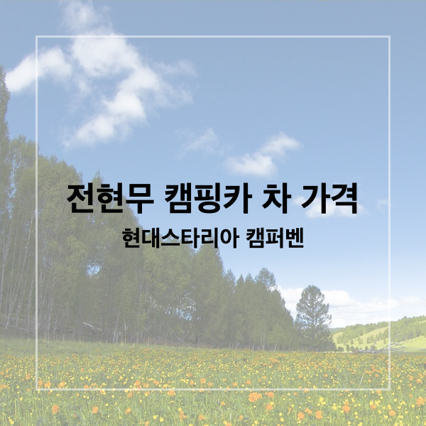  전현무 캠핑카 차 가격 현대스타리아 캠퍼벤