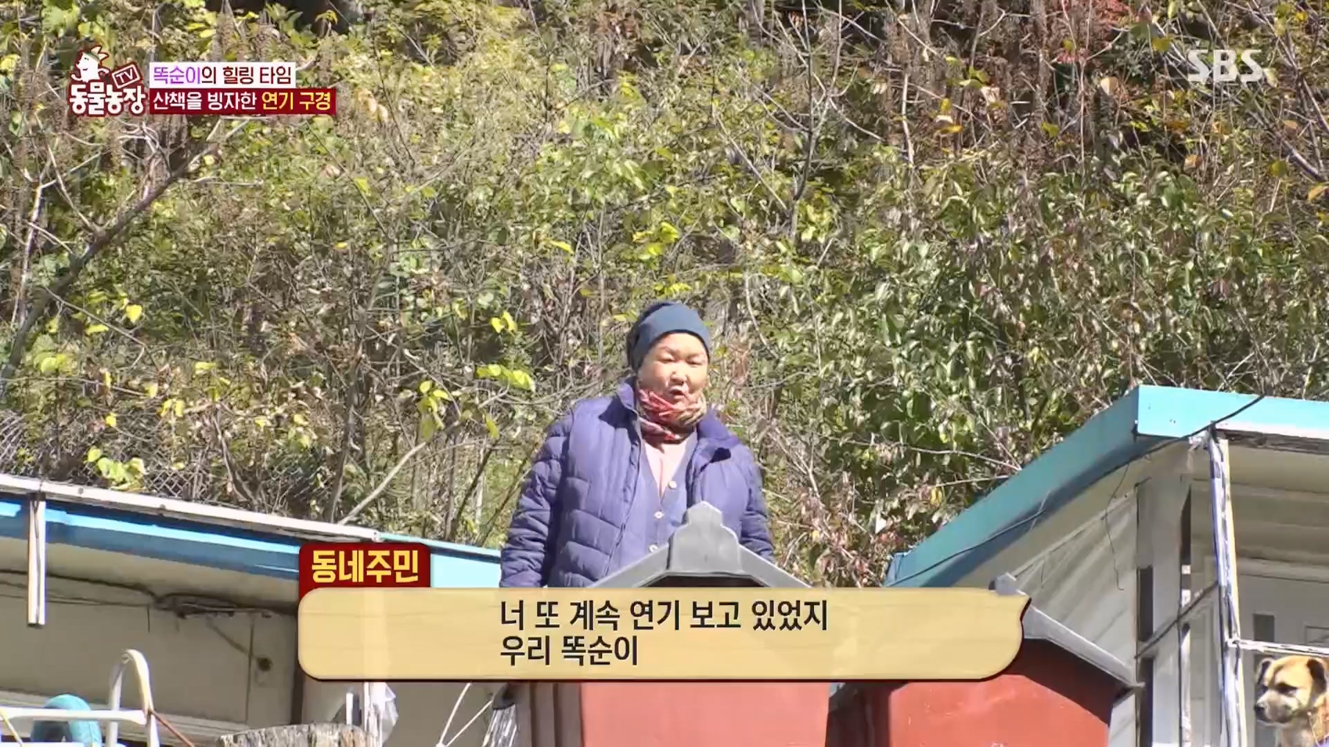 TV 동물농장.E1148.231203p.H264-F1RST.mp4_20231203_165827.923.jpg