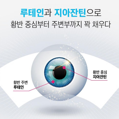 루테인 추천