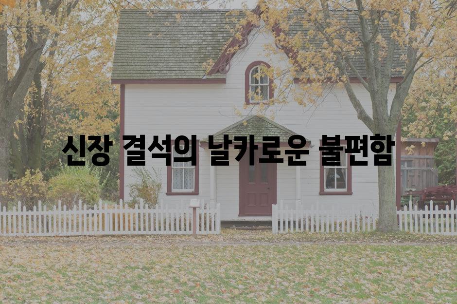 신장 결석의 날카로운 불편함