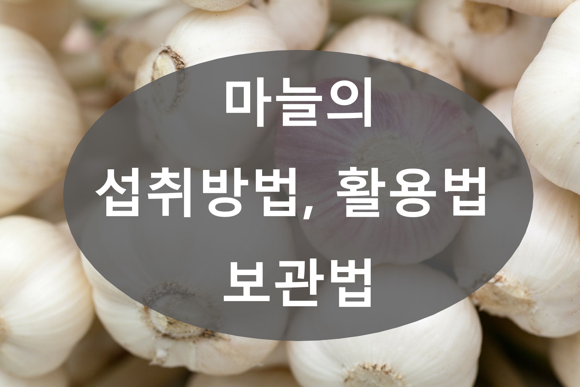  마늘(garlic)의 섭취 방법, 활용법, 보관법 총정리