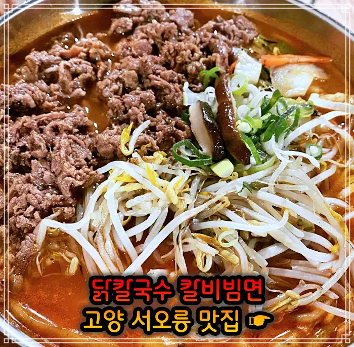 고양 서오릉 맛집 닭칼국수&#44; 비빔칼국수