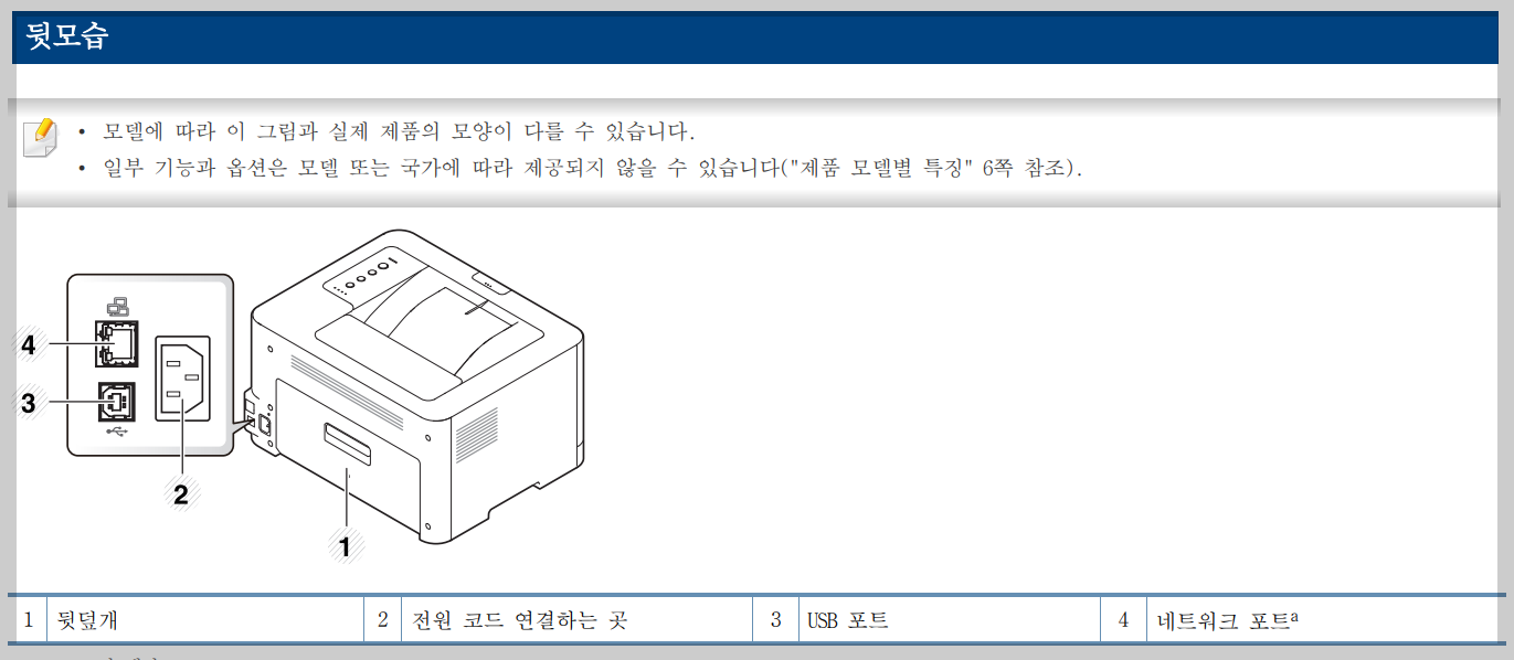 뒷모습