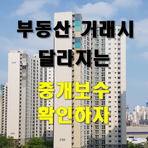  공인중개사 중개보수 및 부동산 복비