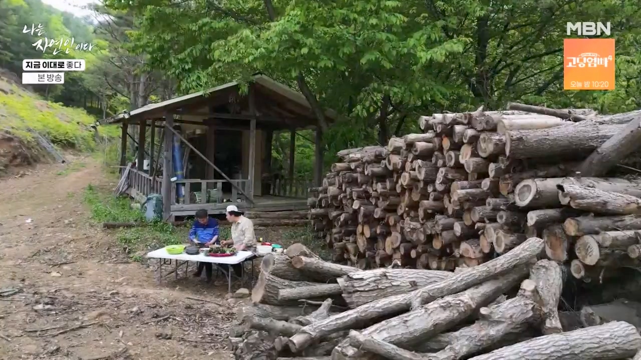 나는 자연인이다.E605.240516p-NEXT.mp4_20240516_194928.478.jpg